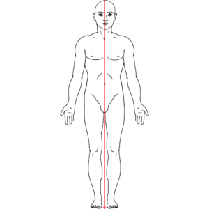 姿勢診断　姿勢分析　バランス診断　解剖学的肢位