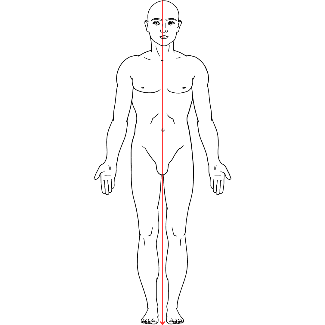 姿勢診断、姿勢分析、バランス診断、解剖学的肢位