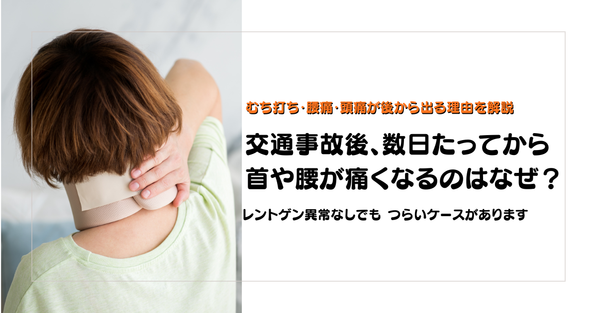 交通事故のむち打ちを放置した場合に首の痛み以外に出やすい症状を解説する守谷やまゆり鍼灸整骨院のブログアイキャッチ画像
