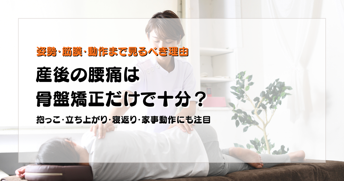 産後の腰痛は骨盤矯正だけで十分かを姿勢筋膜動作の視点から解説する守谷やまゆり鍼灸整骨院のブログアイキャッチ画像