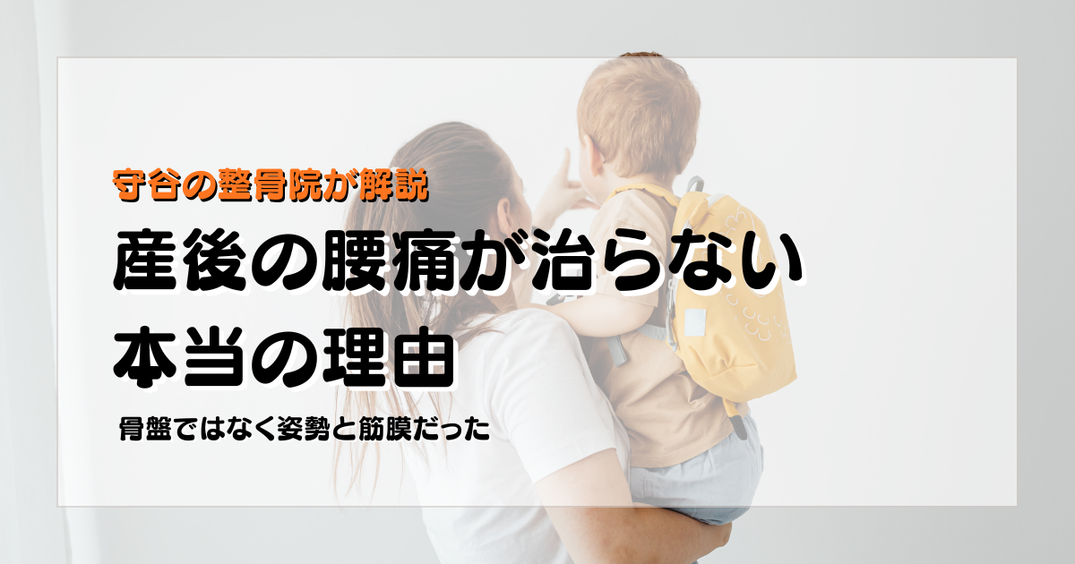 産後の腰痛の原因が骨盤だけではなく姿勢と筋膜にあることを示した守谷やまゆり鍼灸整骨院のブログ用画像