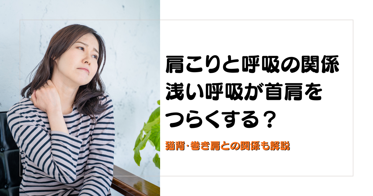 守谷やまゆり鍼灸整骨院のブログ用アイキャッチ。肩こりと呼吸の関係、浅い呼吸が首肩をつらくする理由を解説するデザイン。